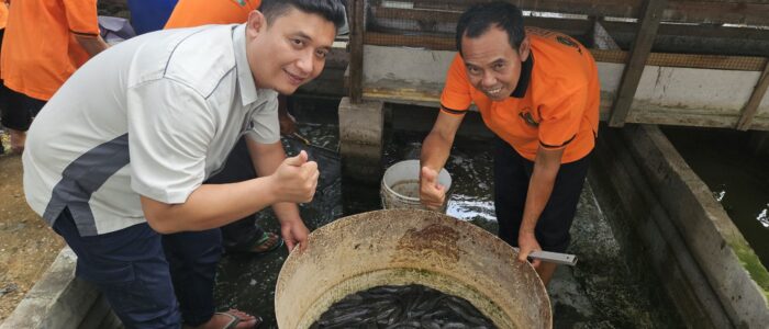 FajarPaper Sukseskan Panen Lele, Dukung Kemandirian Ekonomi Warga Binaa FajarPaper Sukseskan Panen Lele, Dukung Kemandirian Ekonomi Warga Binaa